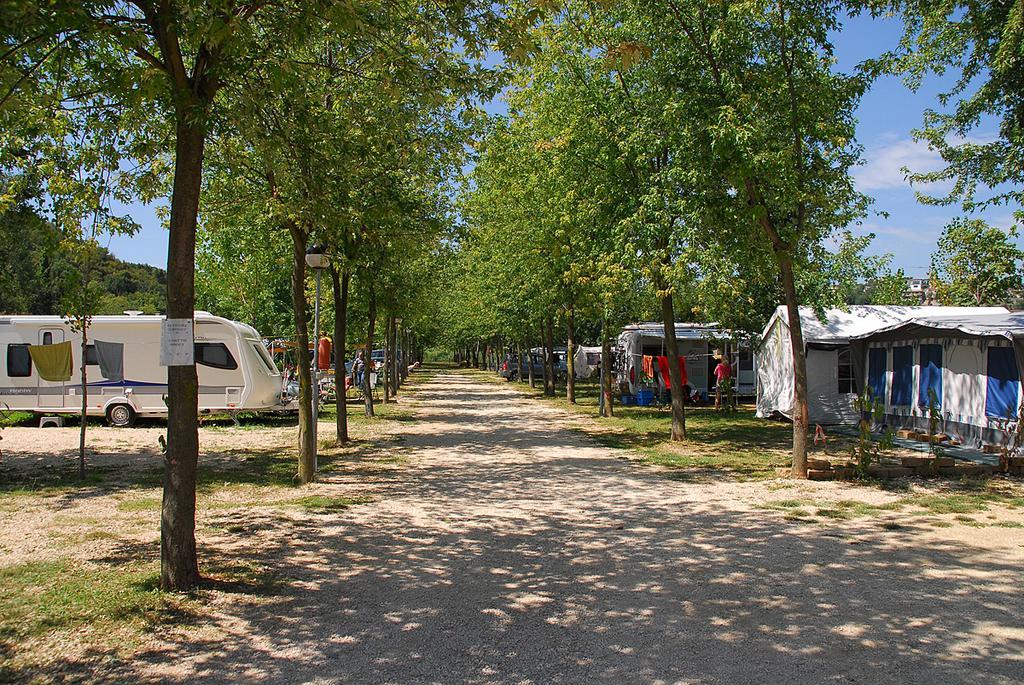 Trevisago Iris Park